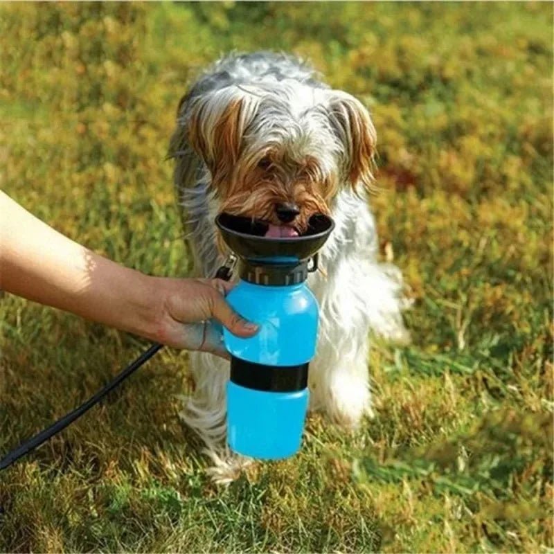 pimpy collier_pour_chien collar_dog collier_rose_en_nylon collier_chien_résistant_pour_gros_chien collier_reflechissant_pour_chien alicia_pimprenelle pimprenelle_marque pimprenelle