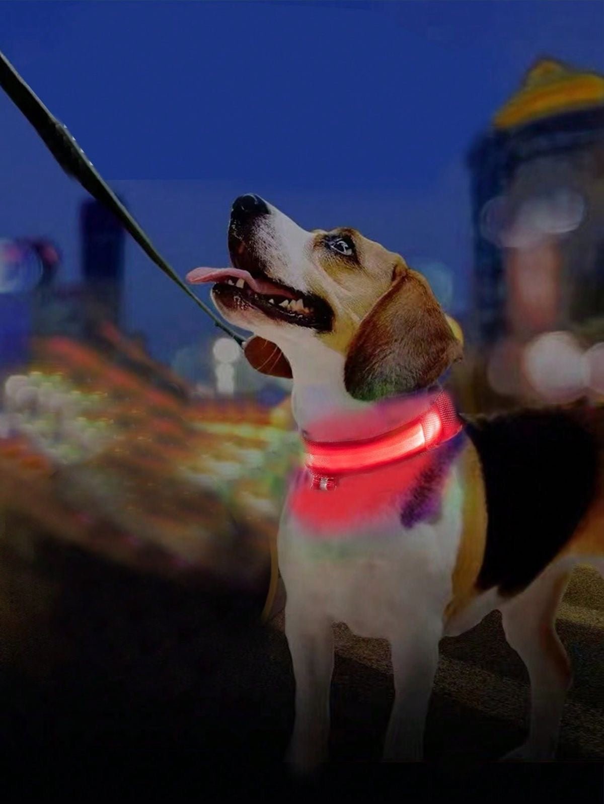 pimpy collier_pour_chien collar_dog collier_rose_en_nylon collier_chien_résistant_pour_gros_chien collier_reflechissant_pour_chien alicia_pimprenelle pimprenelle_marque pimprenelle
