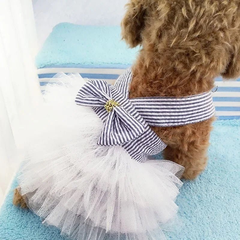 pimpy collier_pour_chien collar_dog collier_rose_en_nylon collier_chien_résistant_pour_gros_chien collier_reflechissant_pour_chien alicia_pimprenelle pimprenelle_marque pimprenelle