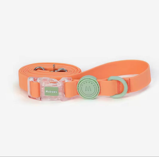 pimpy collier_pour_chien collar_dog collier_rose_en_nylon collier_chien_résistant_pour_gros_chien collier_reflechissant_pour_chien alicia_pimprenelle pimprenelle_marque pimprenelle