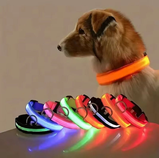 pimpy collier_pour_chien collar_dog collier_rose_en_nylon collier_chien_résistant_pour_gros_chien collier_reflechissant_pour_chien alicia_pimprenelle pimprenelle_marque pimprenelle