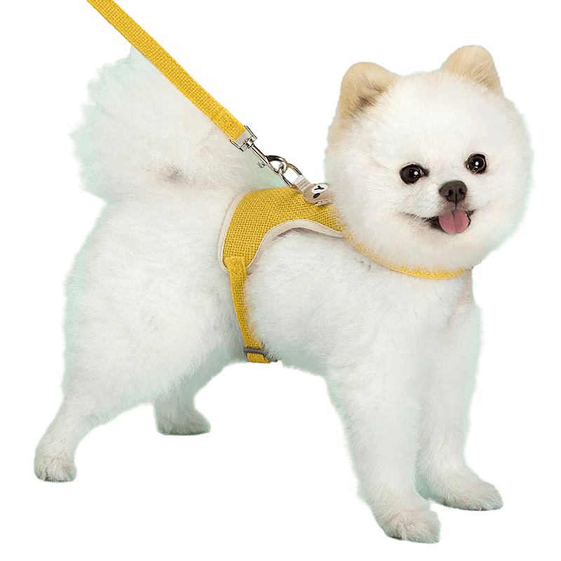 pimpy collier_pour_chien collar_dog collier_rose_en_nylon collier_chien_résistant_pour_gros_chien collier_reflechissant_pour_chien alicia_pimprenelle pimprenelle_marque pimprenelle