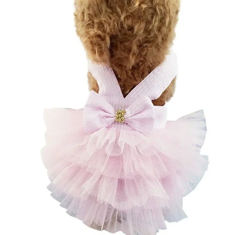pimpy collier_pour_chien collar_dog collier_rose_en_nylon collier_chien_résistant_pour_gros_chien collier_reflechissant_pour_chien alicia_pimprenelle pimprenelle_marque pimprenelle