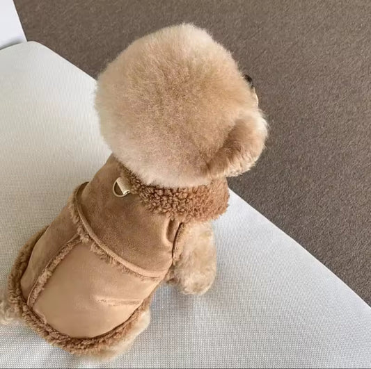 pimpy collier_pour_chien collar_dog collier_rose_en_nylon collier_chien_résistant_pour_gros_chien collier_reflechissant_pour_chien alicia_pimprenelle pimprenelle_marque pimprenelle