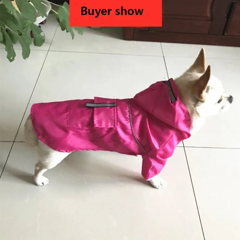 pimpy collier_pour_chien collar_dog collier_rose_en_nylon collier_chien_résistant_pour_gros_chien collier_reflechissant_pour_chien alicia_pimprenelle pimprenelle_marque pimprenelle