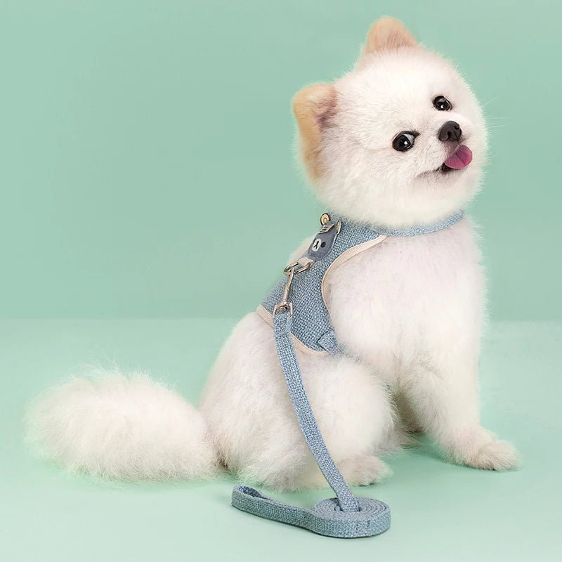 pimpy collier_pour_chien collar_dog collier_rose_en_nylon collier_chien_résistant_pour_gros_chien collier_reflechissant_pour_chien alicia_pimprenelle pimprenelle_marque pimprenelle
