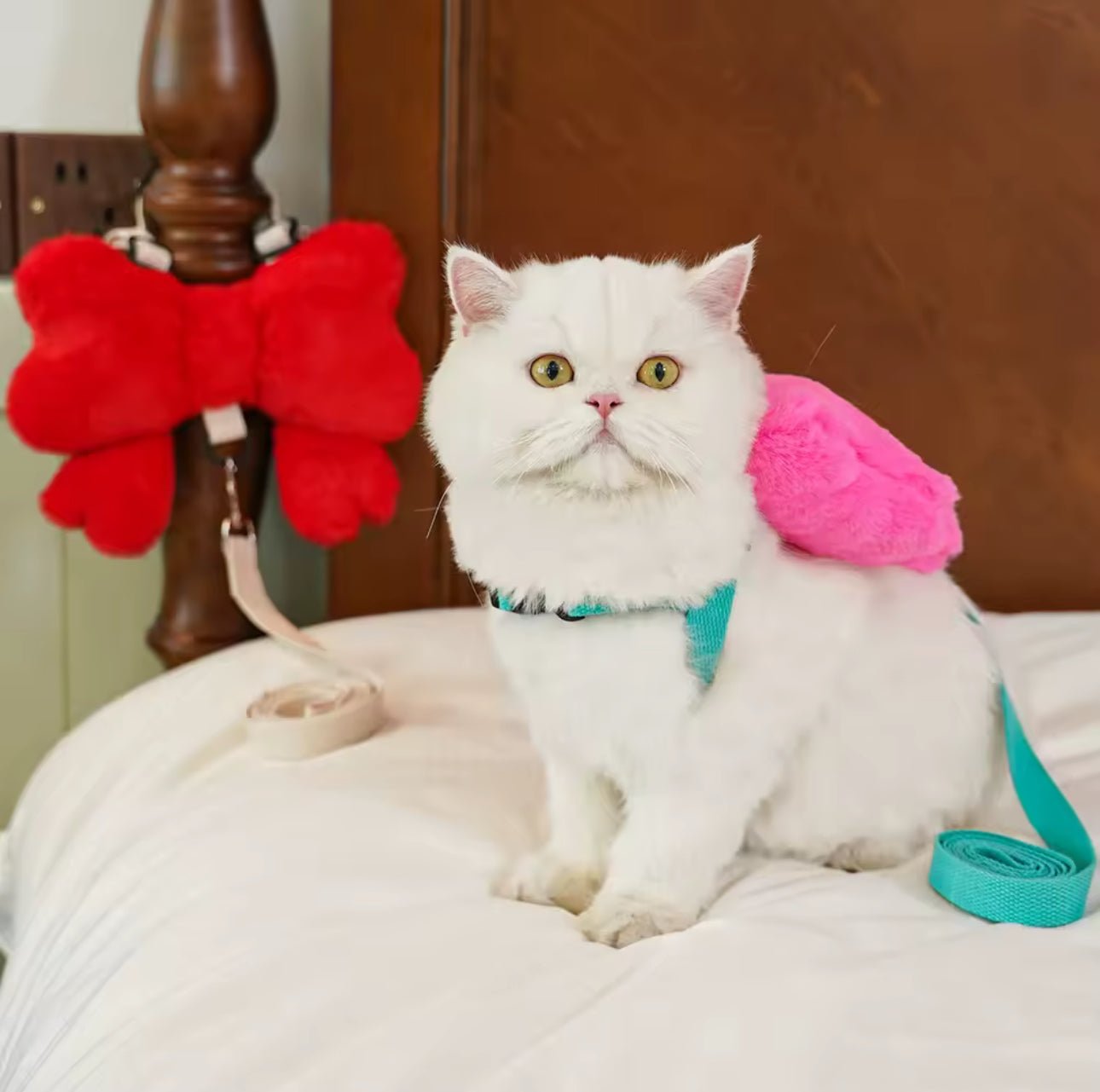 pimpy collier_pour_chien collar_dog collier_rose_en_nylon collier_chien_résistant_pour_gros_chien collier_reflechissant_pour_chien alicia_pimprenelle pimprenelle_marque pimprenelle