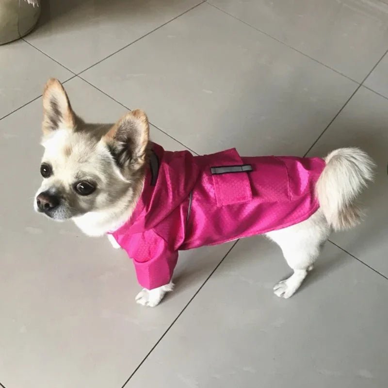pimpy collier_pour_chien collar_dog collier_rose_en_nylon collier_chien_résistant_pour_gros_chien collier_reflechissant_pour_chien alicia_pimprenelle pimprenelle_marque pimprenelle