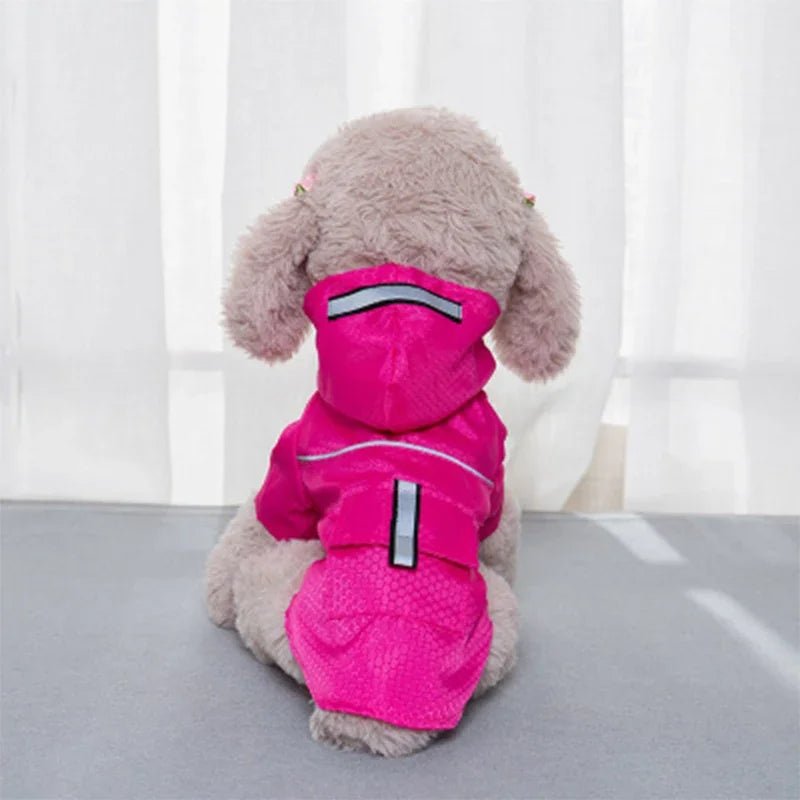 pimpy collier_pour_chien collar_dog collier_rose_en_nylon collier_chien_résistant_pour_gros_chien collier_reflechissant_pour_chien alicia_pimprenelle pimprenelle_marque pimprenelle
