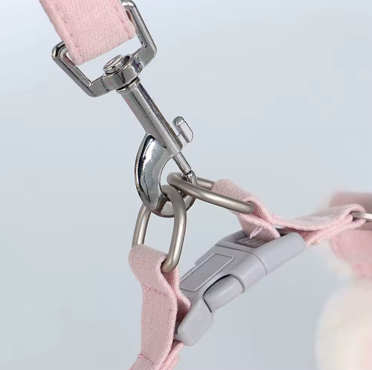 pimpy collier_pour_chien collar_dog collier_rose_en_nylon collier_chien_résistant_pour_gros_chien collier_reflechissant_pour_chien alicia_pimprenelle pimprenelle_marque pimprenelle