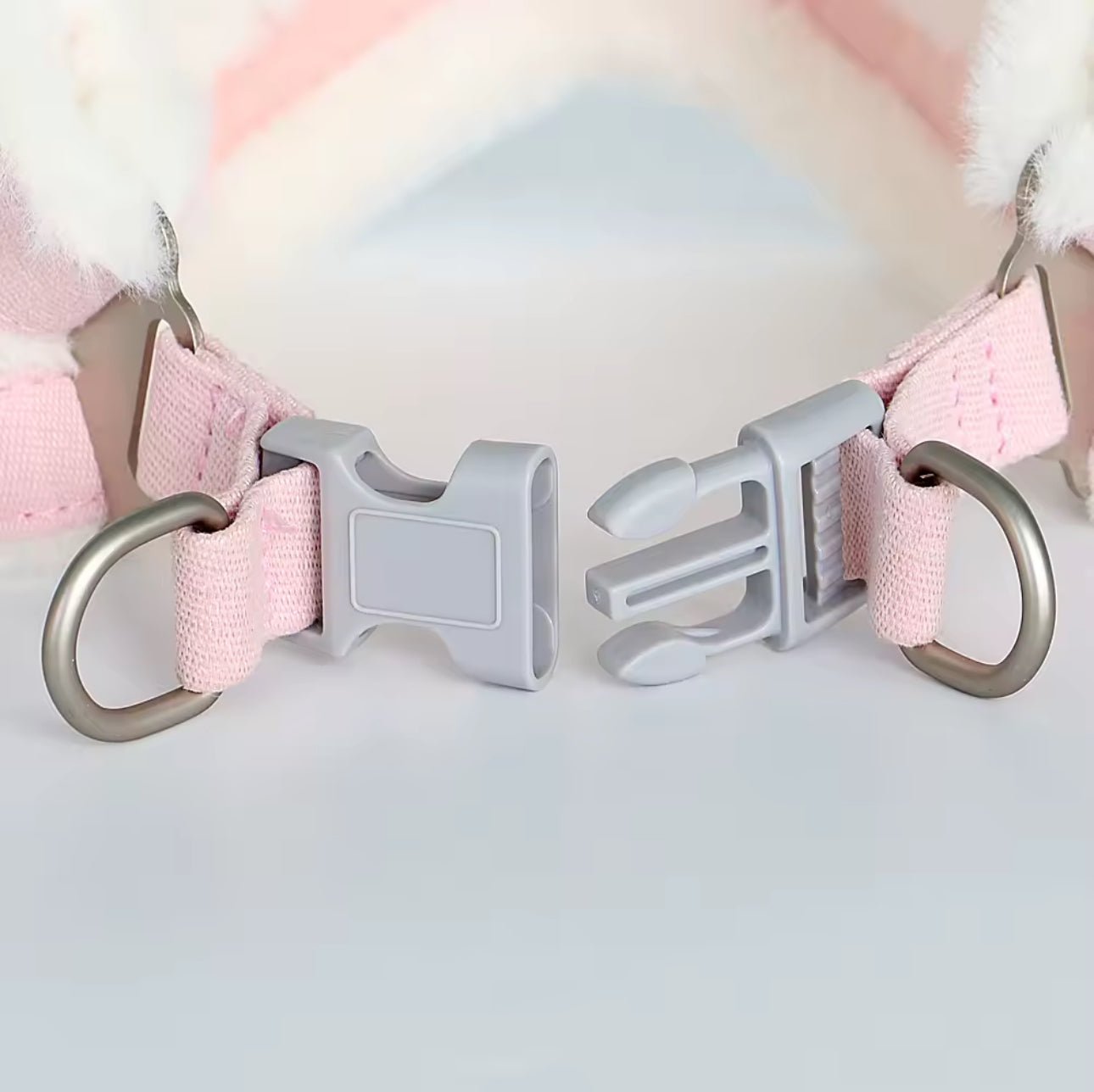 pimpy collier_pour_chien collar_dog collier_rose_en_nylon collier_chien_résistant_pour_gros_chien collier_reflechissant_pour_chien alicia_pimprenelle pimprenelle_marque pimprenelle