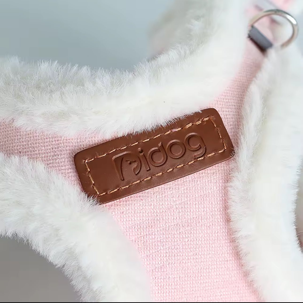pimpy collier_pour_chien collar_dog collier_rose_en_nylon collier_chien_résistant_pour_gros_chien collier_reflechissant_pour_chien alicia_pimprenelle pimprenelle_marque pimprenelle