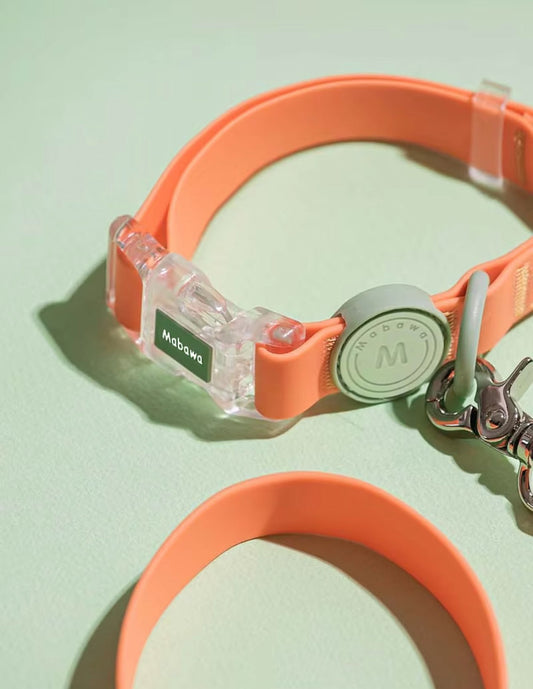 pimpy collier_pour_chien collar_dog collier_rose_en_nylon collier_chien_résistant_pour_gros_chien collier_reflechissant_pour_chien alicia_pimprenelle pimprenelle_marque pimprenelle