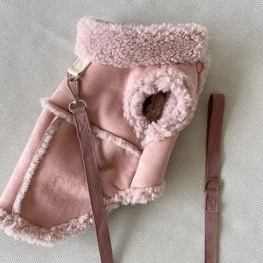 pimpy collier_pour_chien collar_dog collier_rose_en_nylon collier_chien_résistant_pour_gros_chien collier_reflechissant_pour_chien alicia_pimprenelle pimprenelle_marque pimprenelle