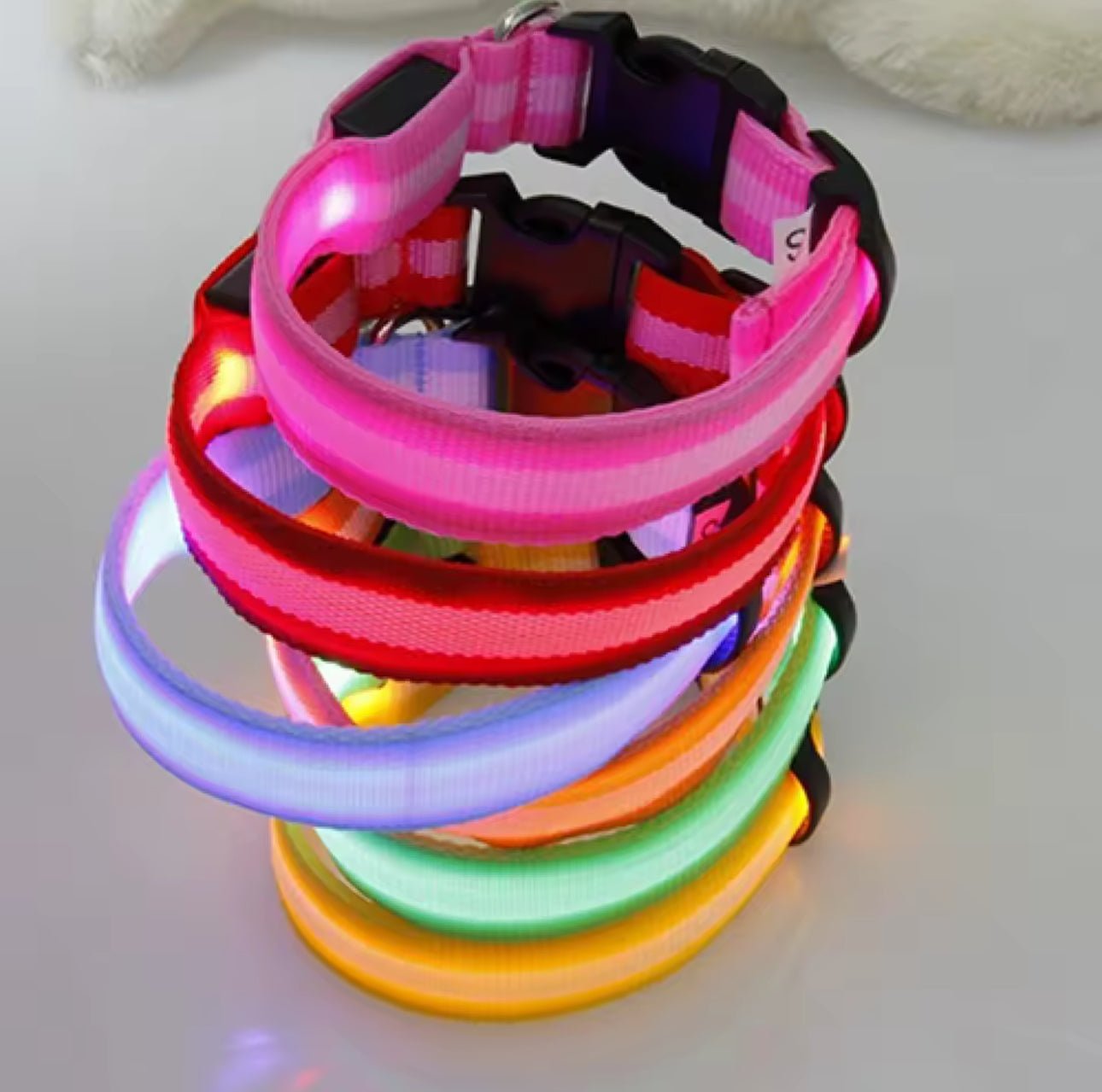 pimpy collier_pour_chien collar_dog collier_rose_en_nylon collier_chien_résistant_pour_gros_chien collier_reflechissant_pour_chien alicia_pimprenelle pimprenelle_marque pimprenelle