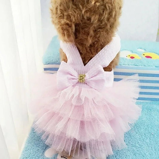 pimpy collier_pour_chien collar_dog collier_rose_en_nylon collier_chien_résistant_pour_gros_chien collier_reflechissant_pour_chien alicia_pimprenelle pimprenelle_marque pimprenelle