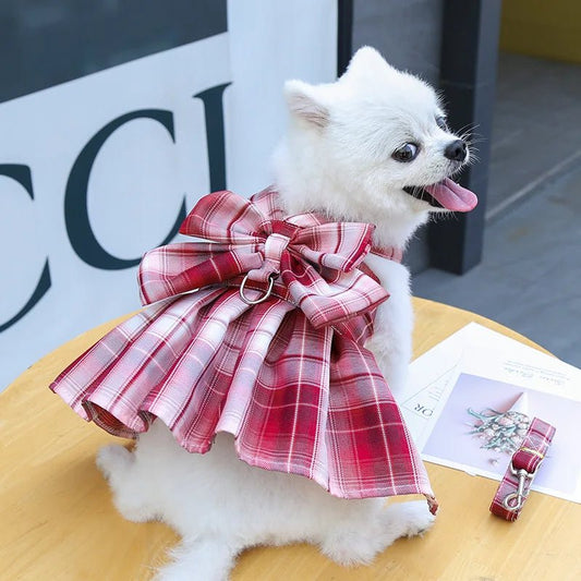 pimpy collier_pour_chien collar_dog collier_rose_en_nylon collier_chien_résistant_pour_gros_chien collier_reflechissant_pour_chien alicia_pimprenelle pimprenelle_marque pimprenelle